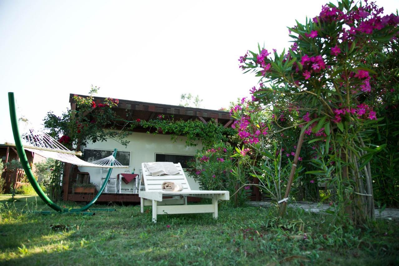 Cunda Fora Glamping Hotel Ayvalik Exterior photo